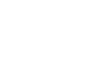 Project Sarae logo